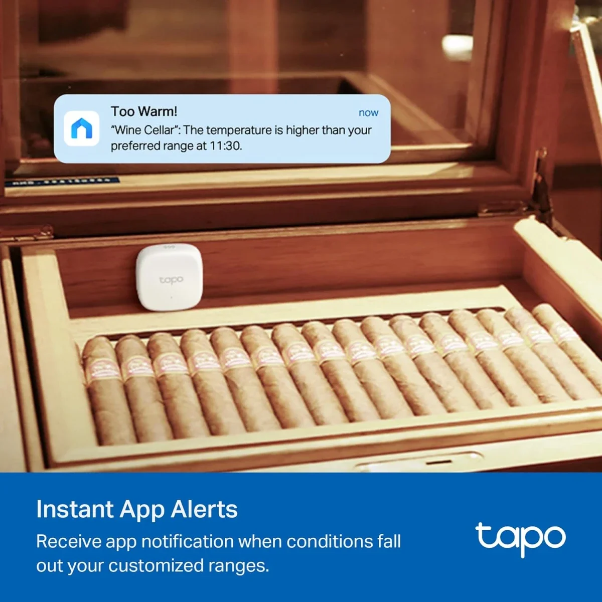 TP-LINK Tapo T310 Smart Temperature & Humidity Sensor - Thumbnail 7