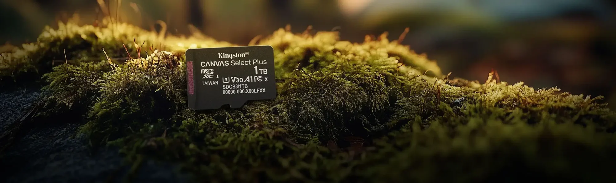 كرت ذاكرة Kingston Canvas Select Plus microSD سعة 256GB SDCS3 - Image 5