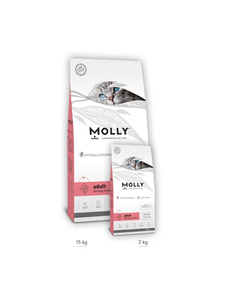 طعام قطط بالغة Molly بالروبيان والسلمون 2 كغ
