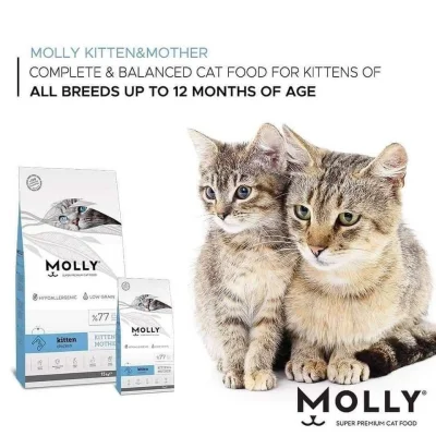 طعام قطط جاف Molly Kitten & Mother متكامل للأمهات والهرر الصغيرة - Image 2