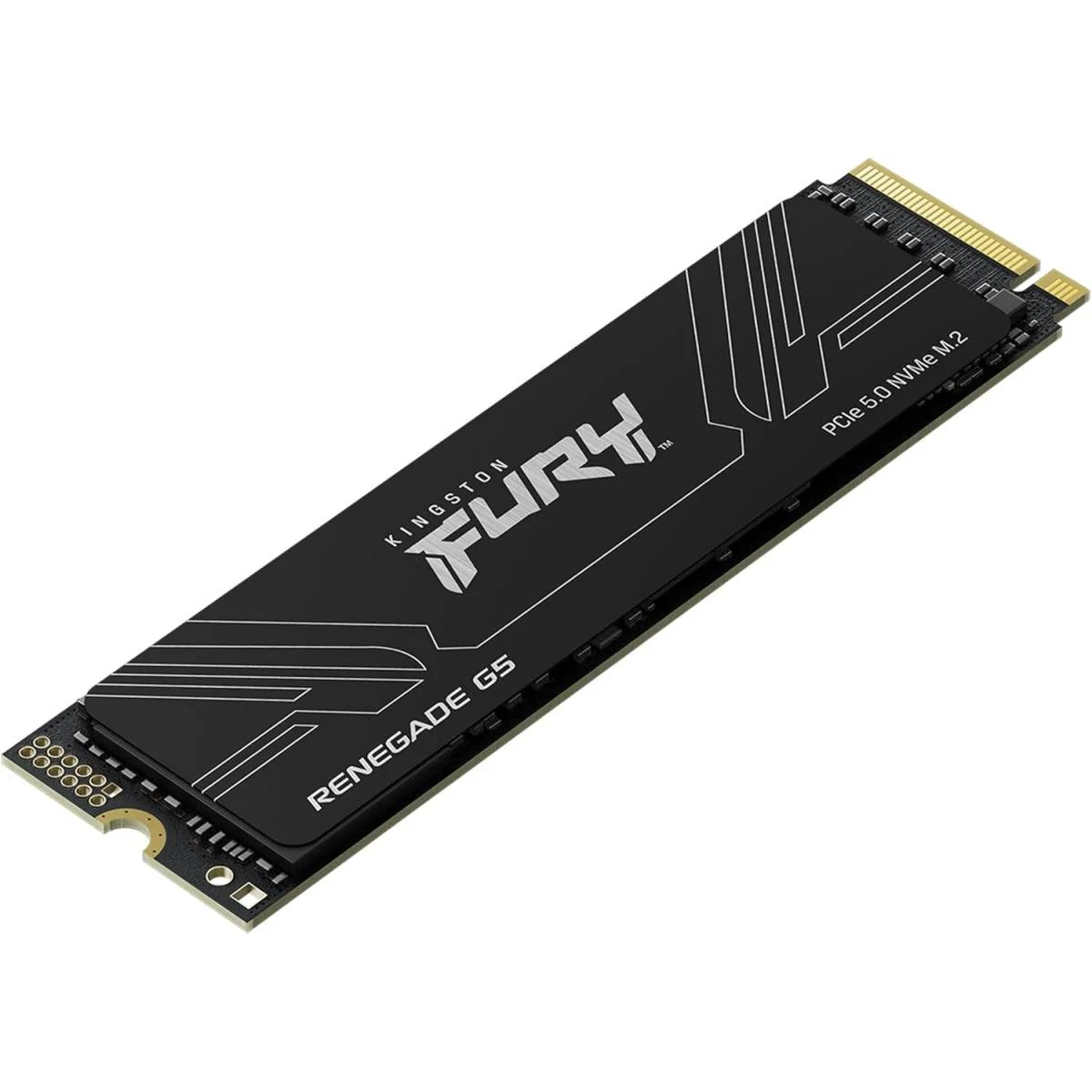 قرص SSD Kingston FURY Renegade G5 بسعة 1024GB وPCIe 5.0 NVMe M.2 2280 SFYR2S/1T0 - Image 5