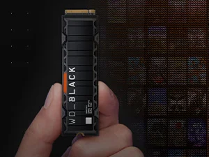 Western Digital WD_BLACK SN850X 1TB NVMe PCIe Gen4 Gaming SSD with Heatsink - Thumbnail 12