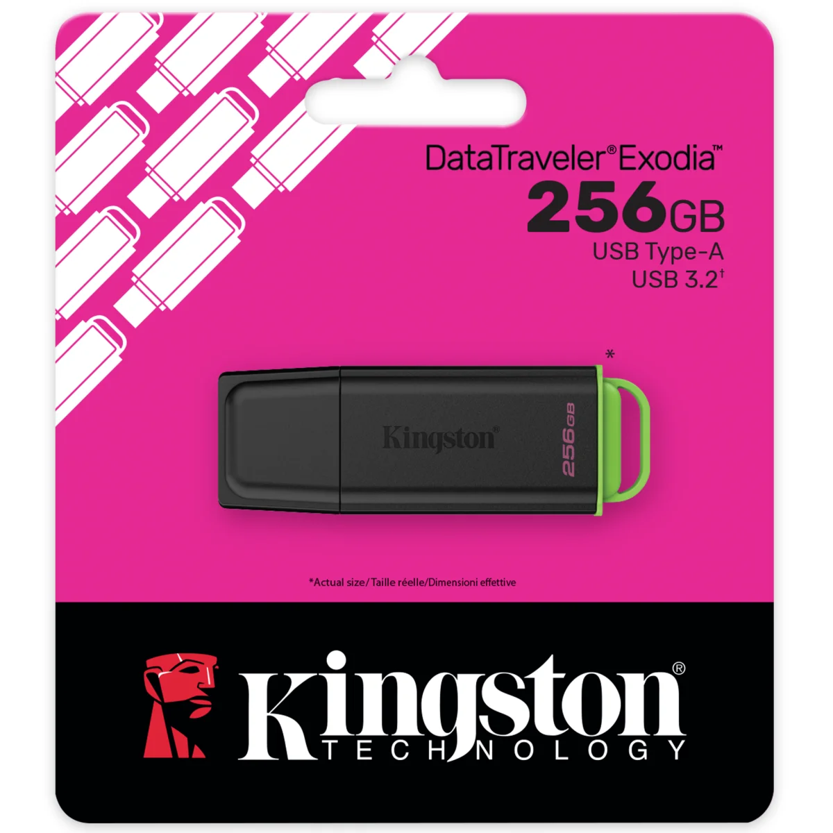 فلاش ميموري Kingston DataTraveler Exodia G2 256GB USB 3.2 Gen 1 بمنفذ USB-A