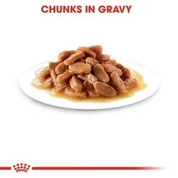 Royal Canin Kitten Wet Cat Food in Broth 85 g - Image 2