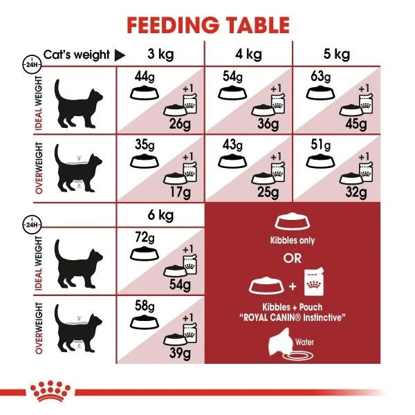 طعام جاف للقطط Royal Canin Fit 32 للقطط البالغة 400 غرام - Thumbnail 4