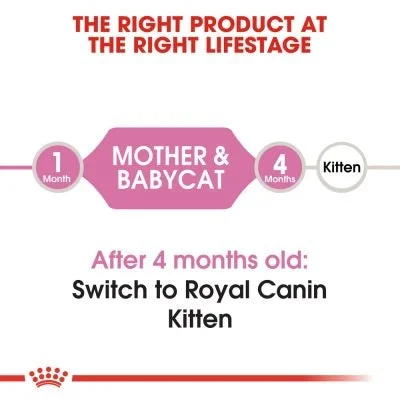 طعام جاف للقطط Royal Canin Mother & Babycat للأمهات والهرر 400 غرام - Thumbnail 2