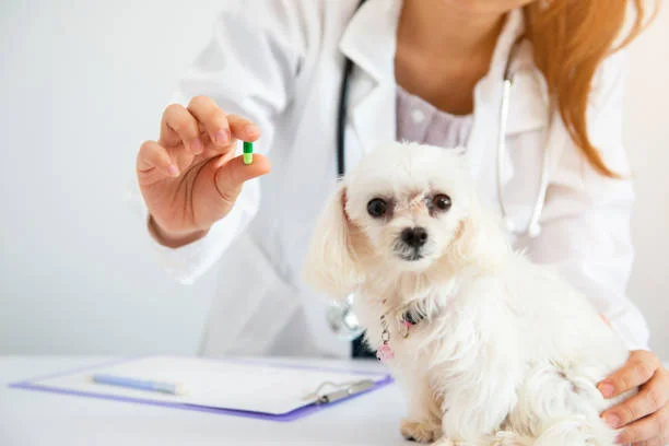 حبوب طرد الديدان PETSOOQ للحيوانات الأليفة