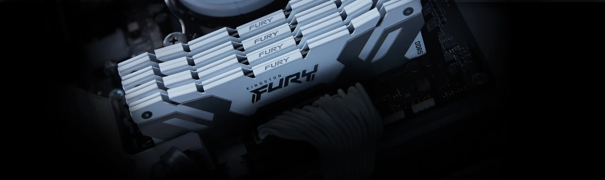 رام مكتبي Kingston FURY Renegade RGB بسعة 48GB (1 x 48GB) DDR5 بسرعة 6000MHz - Thumbnail 5