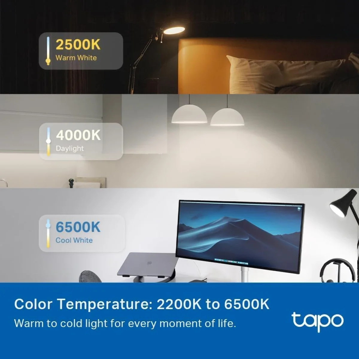 TP-LINK Tapo L535E Smart Wi-Fi Light Bulb 1100 Lumens RGBW Matter Certified - Image 7