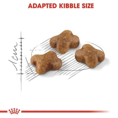 طعام قطط جاف Royal Canin Kitten Second Age 400 غرام - Thumbnail 3