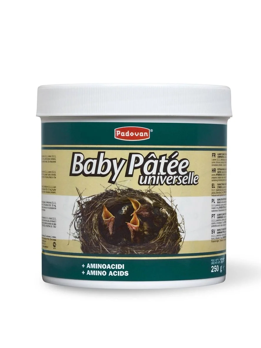 طعام إطعام يدوي للطيور Padovan Baby Pâtée Universelle 250 جم