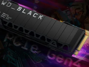 Western Digital WD_BLACK SN850X 1TB NVMe PCIe Gen4 Gaming SSD with Heatsink - Thumbnail 15