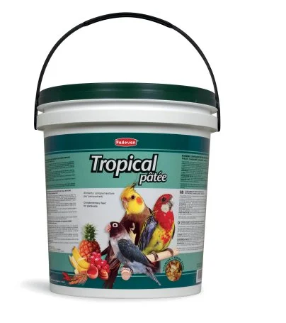 طعام طيور Padovan Tropical Patee فواكه استوائية للببغاوات 5 كجم