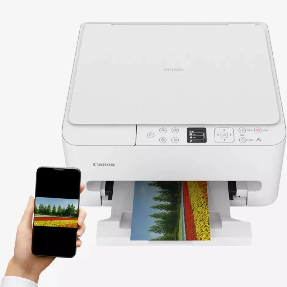 طابعة Canon PIXMA TS6540i نافثة للحبر ملونة لاسلكية 3 في 1 - أبيض - Thumbnail 2