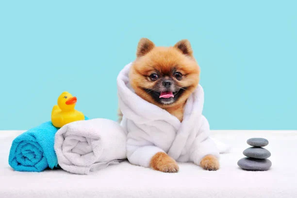 خدمة حمام PETSOOQ للحيوانات الأليفة مع قص الأظافر وتنظيف الأذان