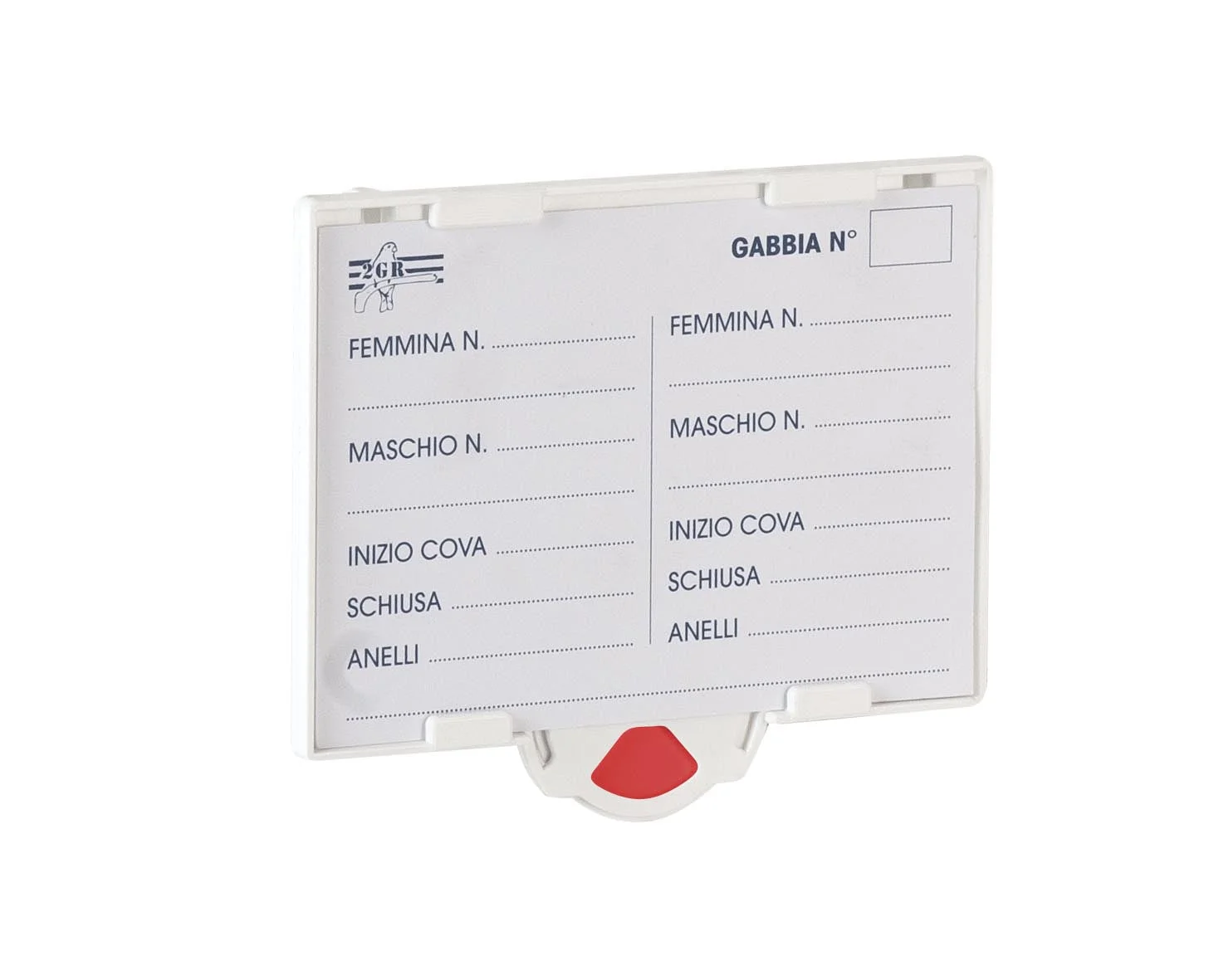 Bird Information Card