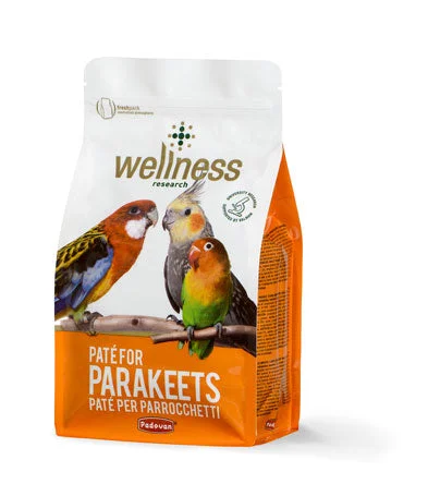 غذاء البيض التكميلي Wellness Paté للببغاوات الصغيرة