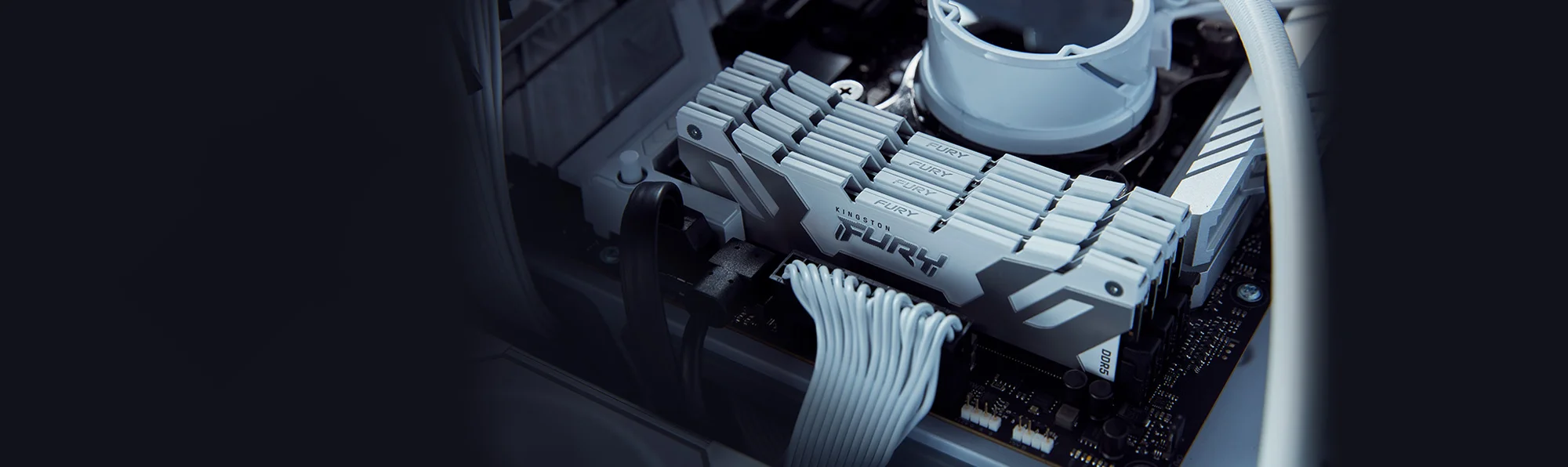 رام مكتبي Kingston FURY Renegade RGB بسعة 48GB (1 x 48GB) DDR5 بسرعة 6000MHz - Thumbnail 10