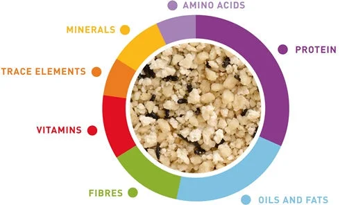 غذاء بيض طري للطيور Nutri Plus أبيض 1 كغم للطيور آكلة الحبوب - Image 2