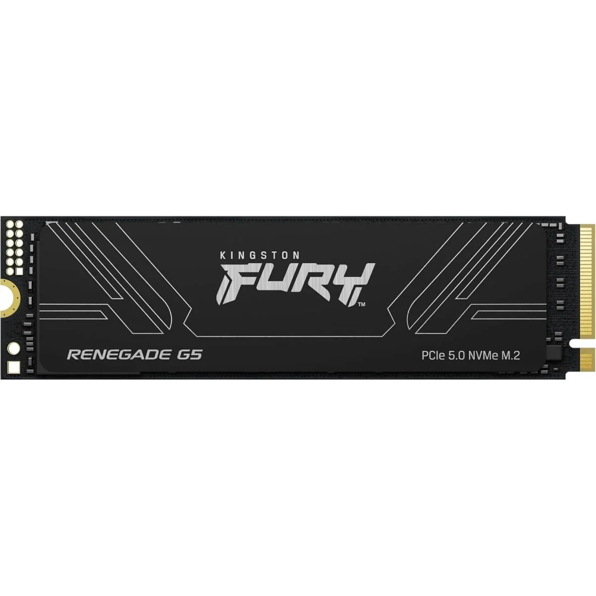 قرص SSD Kingston FURY Renegade G5 بسعة 1024GB وPCIe 5.0 NVMe M.2 2280 SFYR2S/1T0 - Image 4