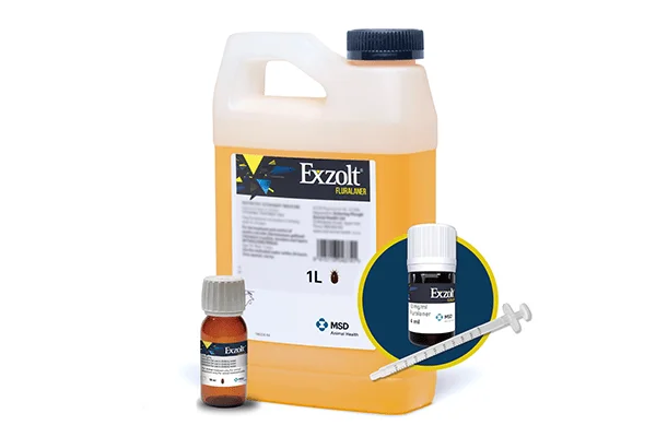 محلول مكافحة العث Exzolt للدجاج