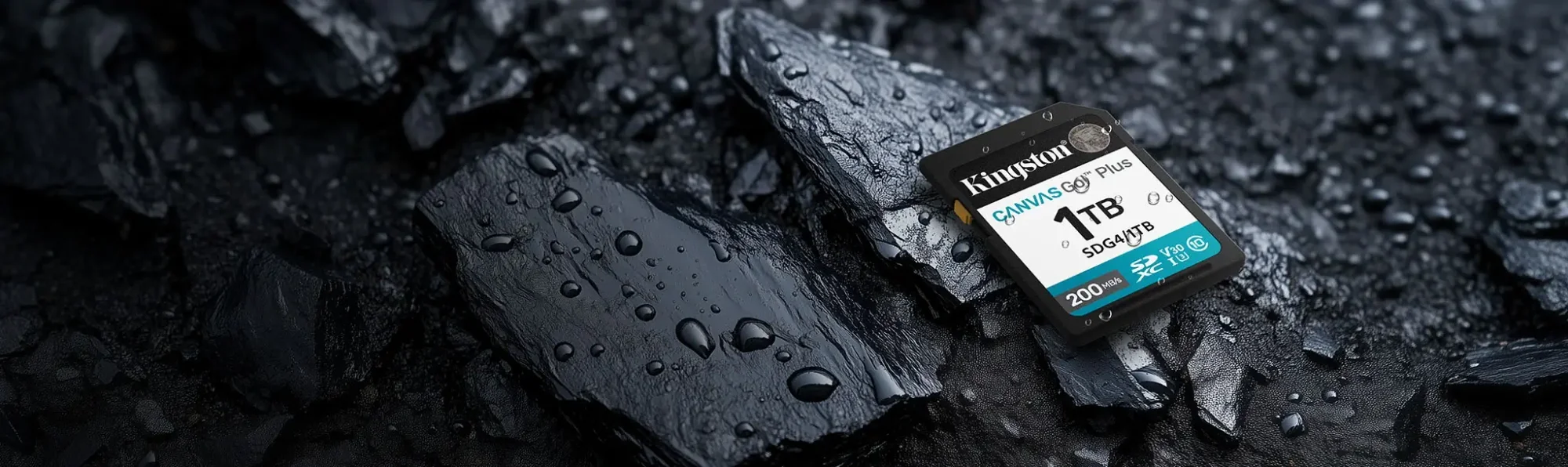 كرت ذاكرة SD Kingston Canvas Go! Plus 256GB SDG4 بسرعة تصل إلى 200MB/s - Thumbnail 4
