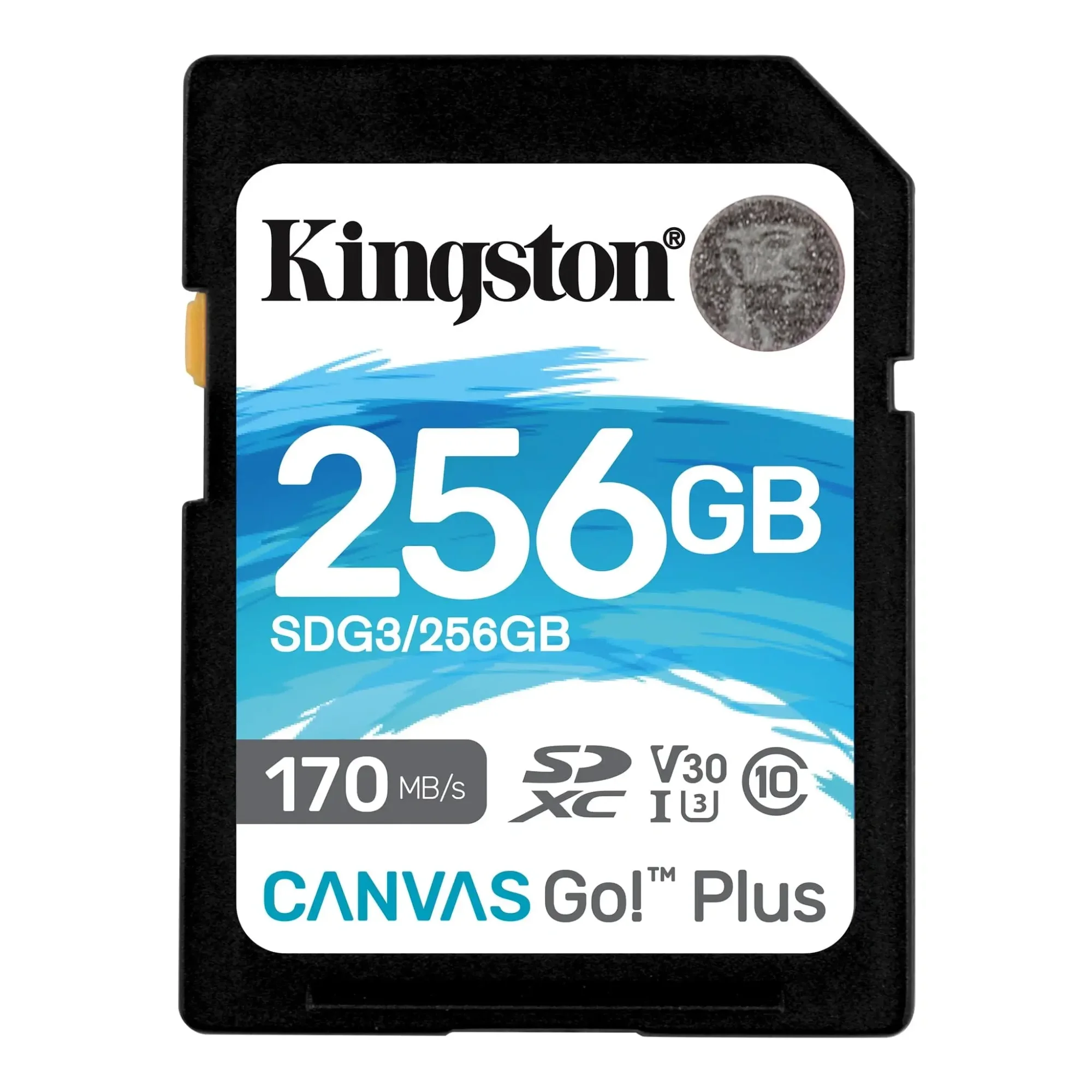 بطاقة ذاكرة SD Kingston Canvas Go! Plus 256GB بسرعة 170MB/s SDG3