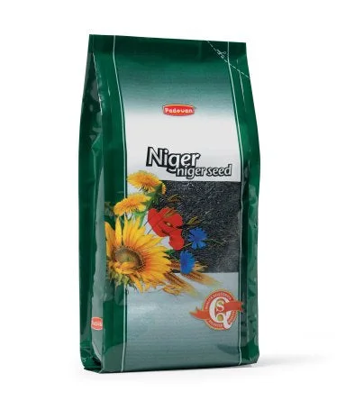 Niger Seeds for Pet Birds