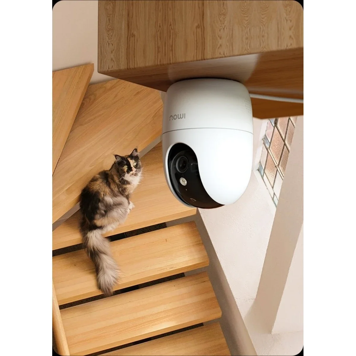 IMOU Ranger 2 Pro 4K 8MP Wi-Fi Pan & Tilt Camera - Thumbnail 3