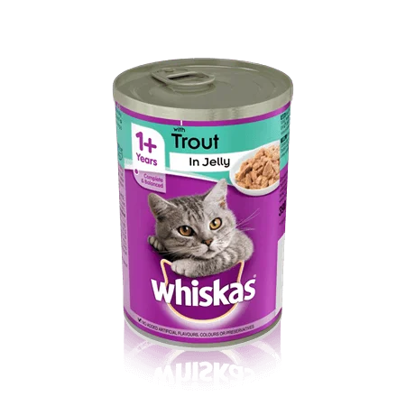 طعام قطط رطب Whiskas جيلي بالدجاج 390 غرام - Image 4