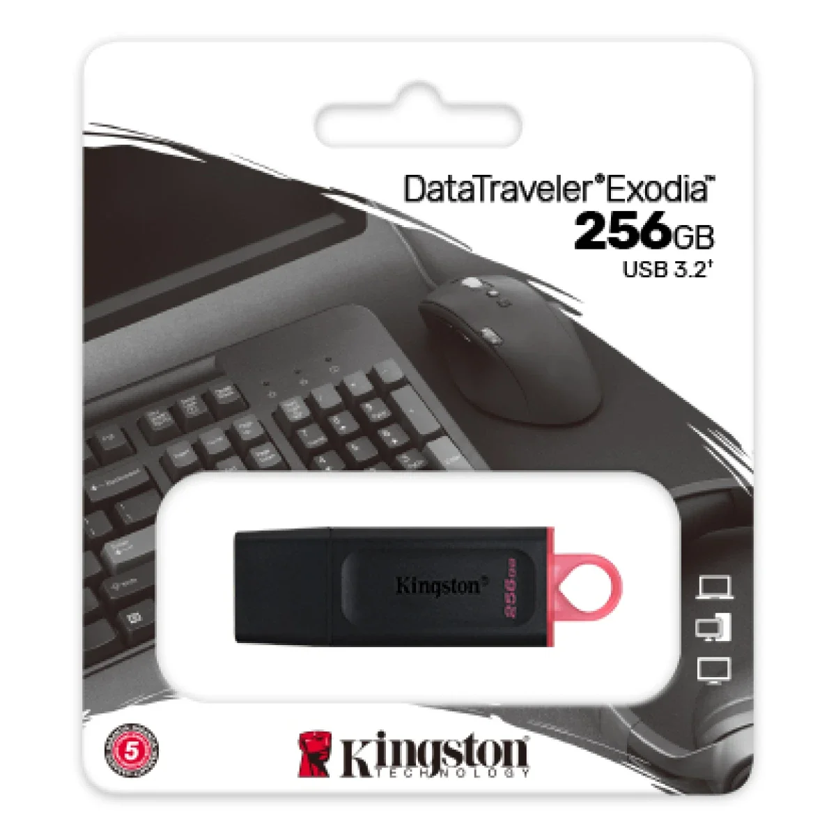 فلاش درايف Kingston DataTraveler Exodia بسعة 256GB وواجهة USB 3.2 Gen 1 - Image 3