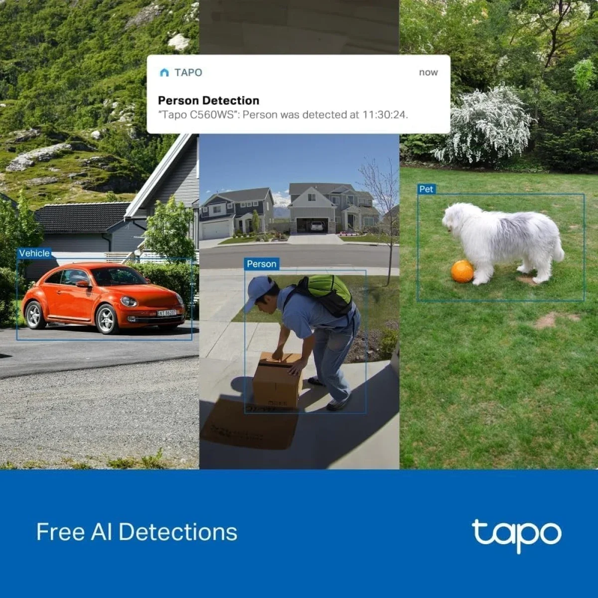 TP-LINK Tapo C560WS 4K 8MP Outdoor Security Camera with Wi-Fi 6 and IP66 - Image 7