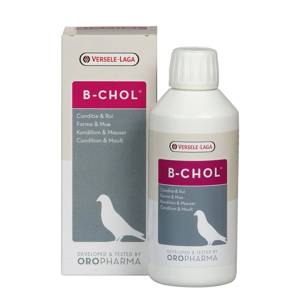 مكمل دعم الكبد للطيور Oropharma B-Chol 25 غرام