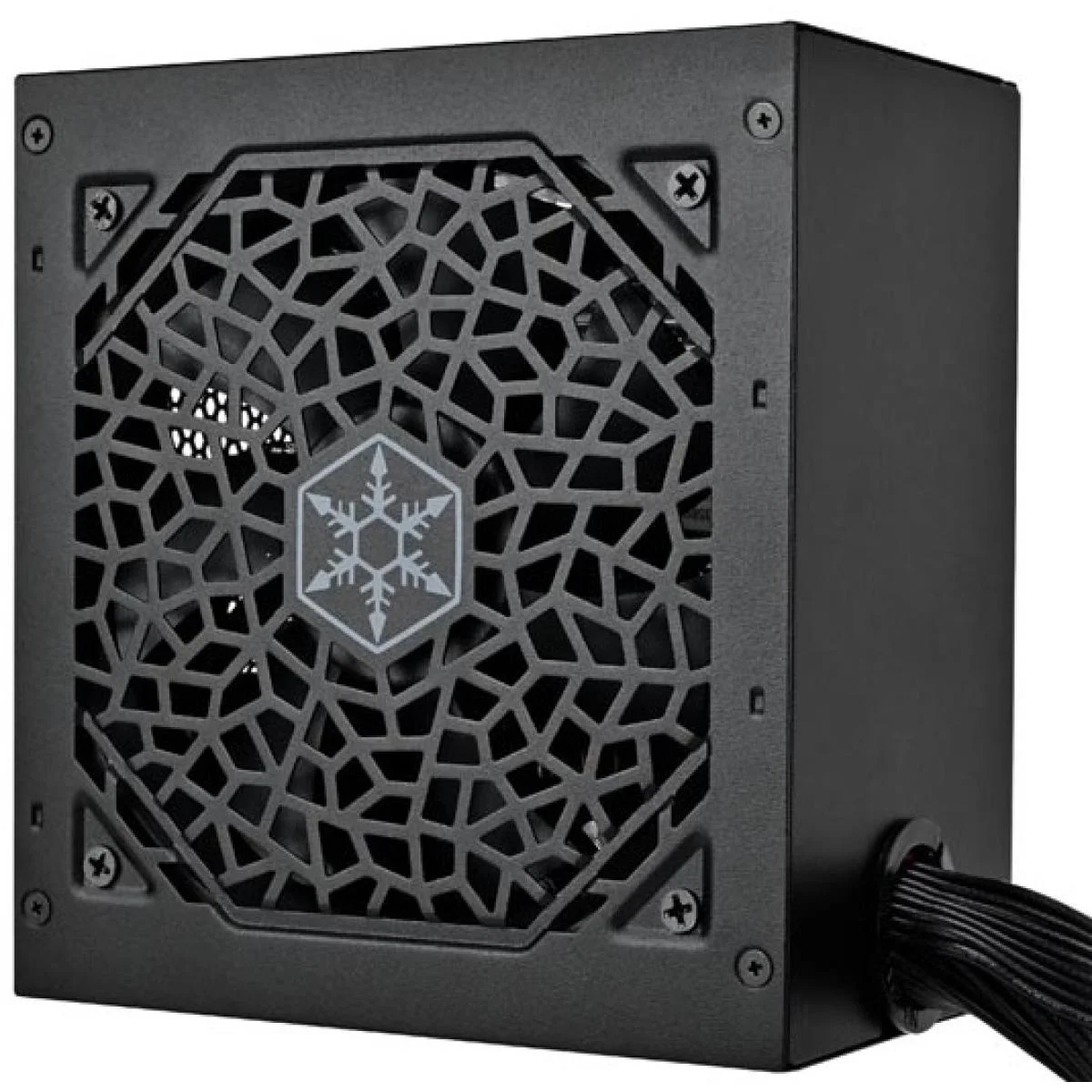SilverStone Triton 650Rx Gold 650W ATX 3.1 Power Supply with PCIe 5.1 - Thumbnail 3