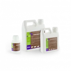 محلول فموي Intermectin Ivermectin 0.08% للماشية 100 مل