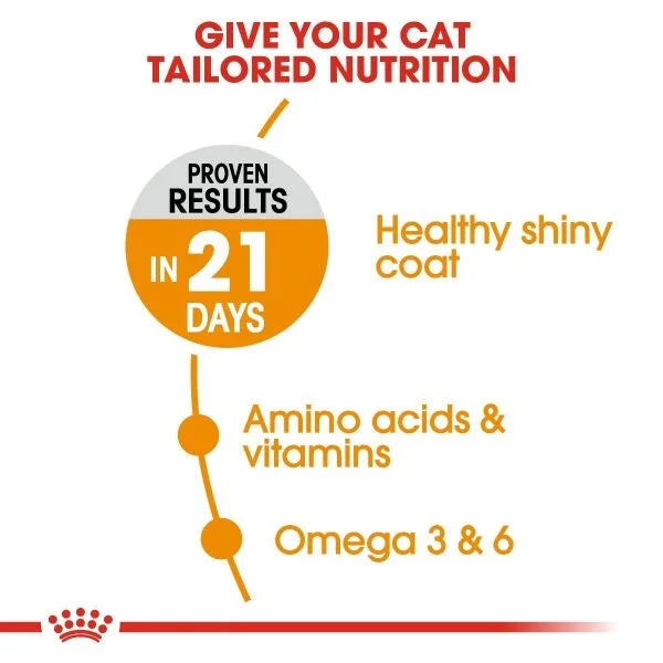 طعام قطط Royal Canin Hair & Skin للقطط البالغة - Thumbnail 3