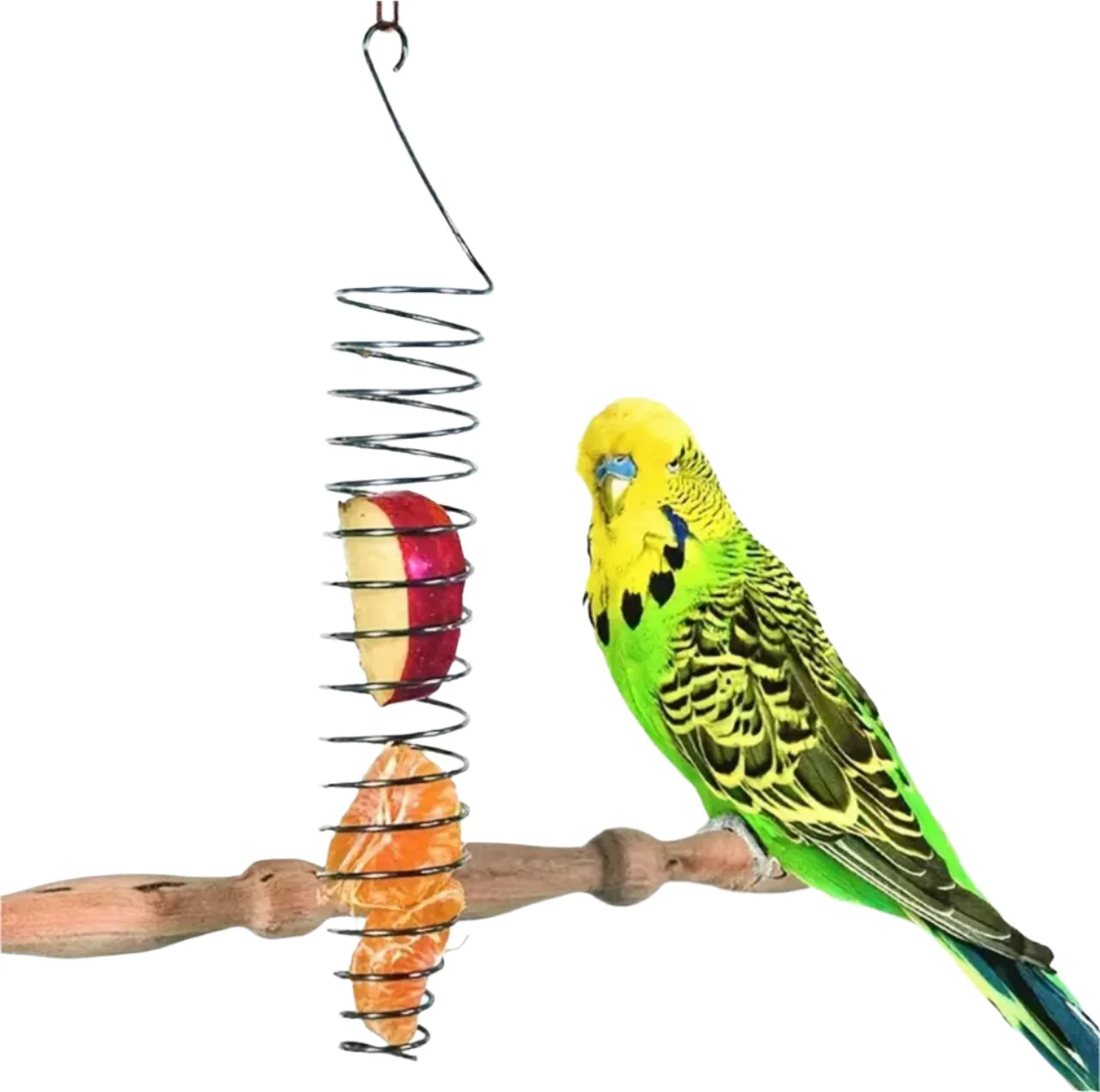 Millet, Vegetable and Fruit Holder for Cage Birds