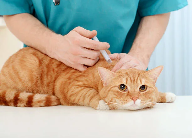 First Trivalent Vaccine