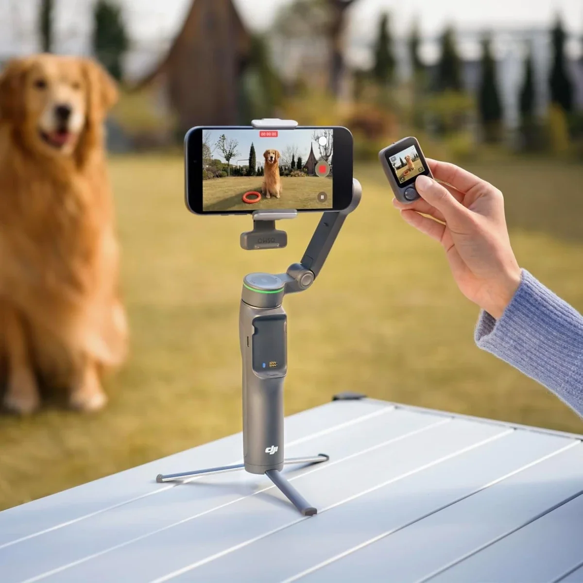 مثبت هاتف DJI Osmo Mobile 8P ثلاثي المحاور مع جهاز تحكم عن بُعد - Image 7