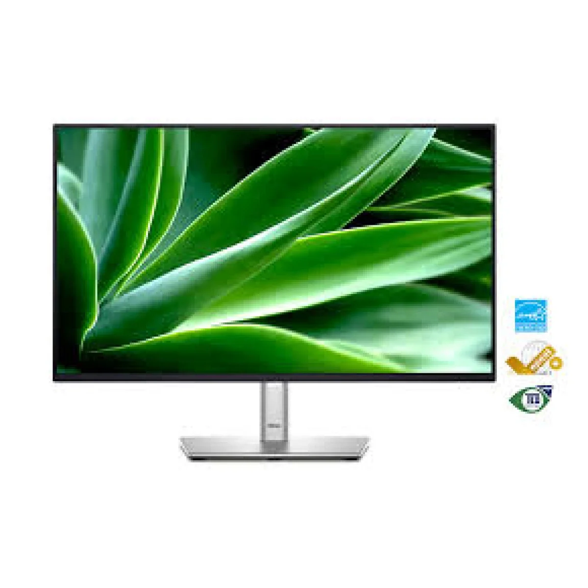 Dell P2425H 24-inch FHD IPS Professional Monitor, 100Hz, 99% sRGB, Flat Ultrathin Bezel, Adjustable Stand, DP, HDMI, VGA, USB-C Data Only with Up to 15W PD