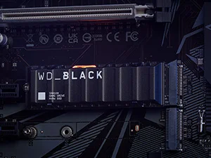 Western Digital WD_BLACK SN850X 1TB NVMe PCIe Gen4 Gaming SSD with Heatsink - Thumbnail 13