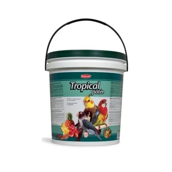 طعام مكمل للطيور Padovan Tropical Pâtée 20 كجم