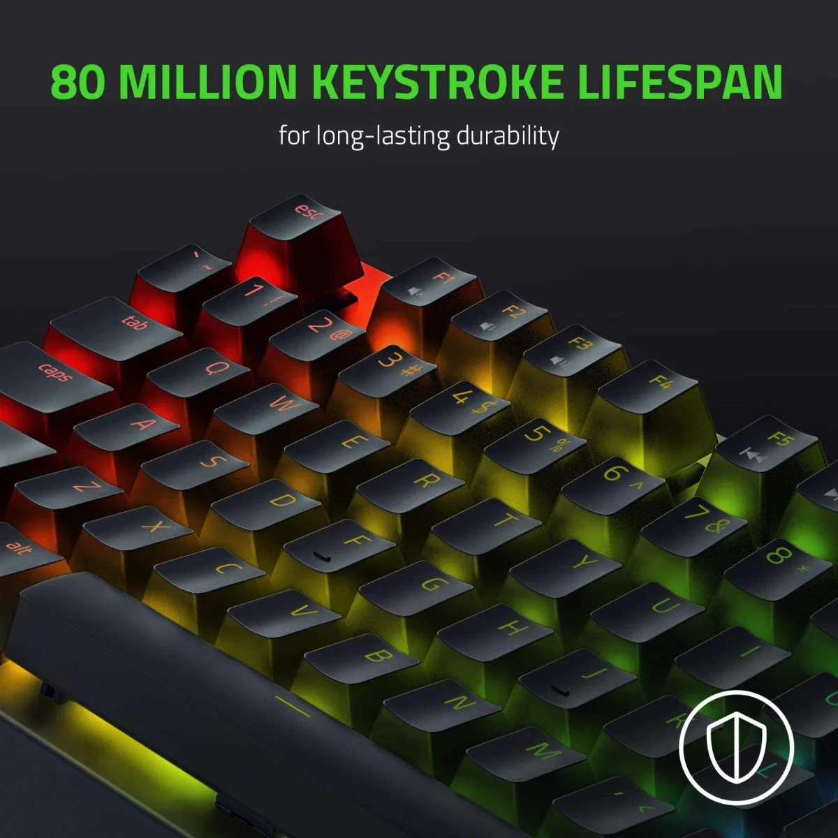 Razer BlackWidow V3 Tenkeyless TKL Mechanical Gaming Keyboard with Green Switches and Chroma RGB - Thumbnail 7