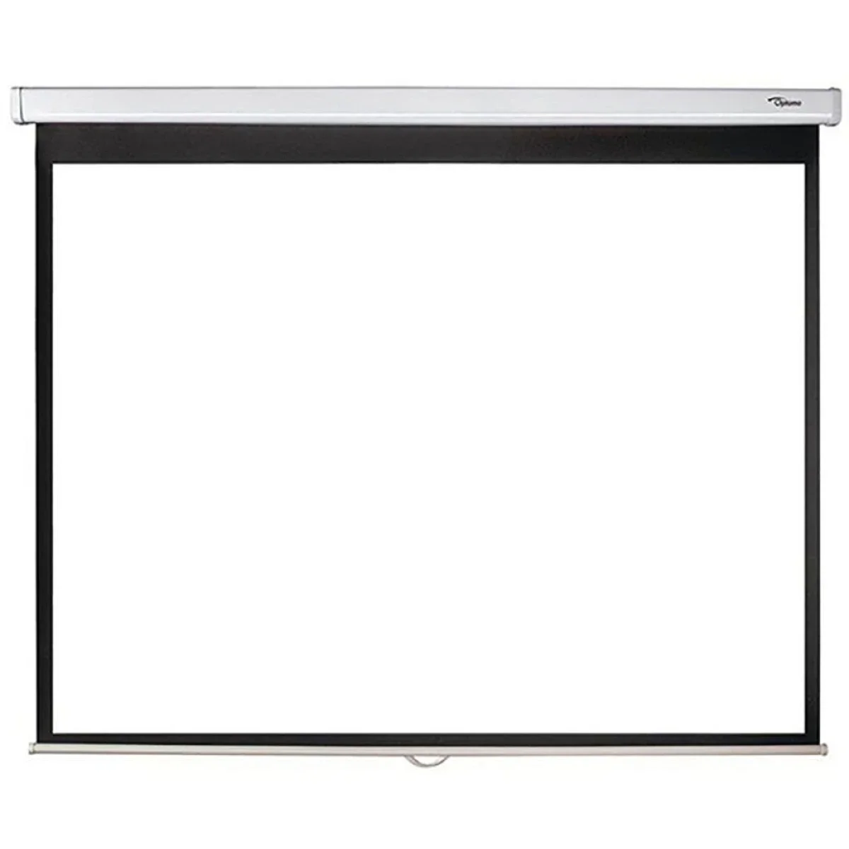 شاشة عرض يدوية Optiview 240 × 240 سم