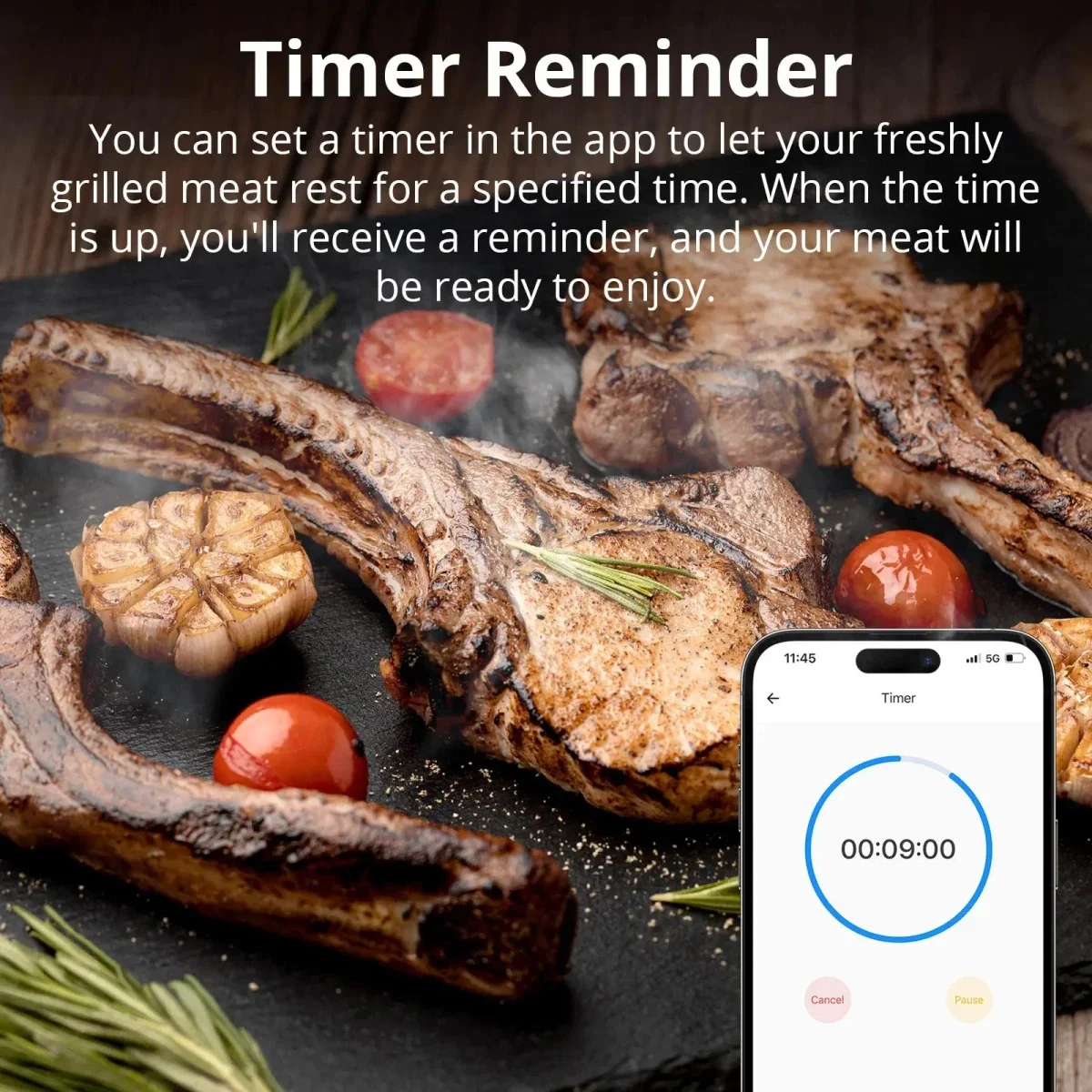 SONOFF BMT01 Wireless BBQ Meat Thermometer with eWeLink App - Image 6