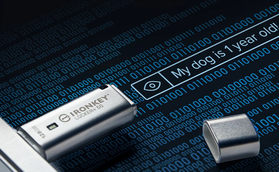 Kingston IronKey Locker+ 50 256GB Encrypted USB Flash Drive USB 3.2 - Thumbnail 8