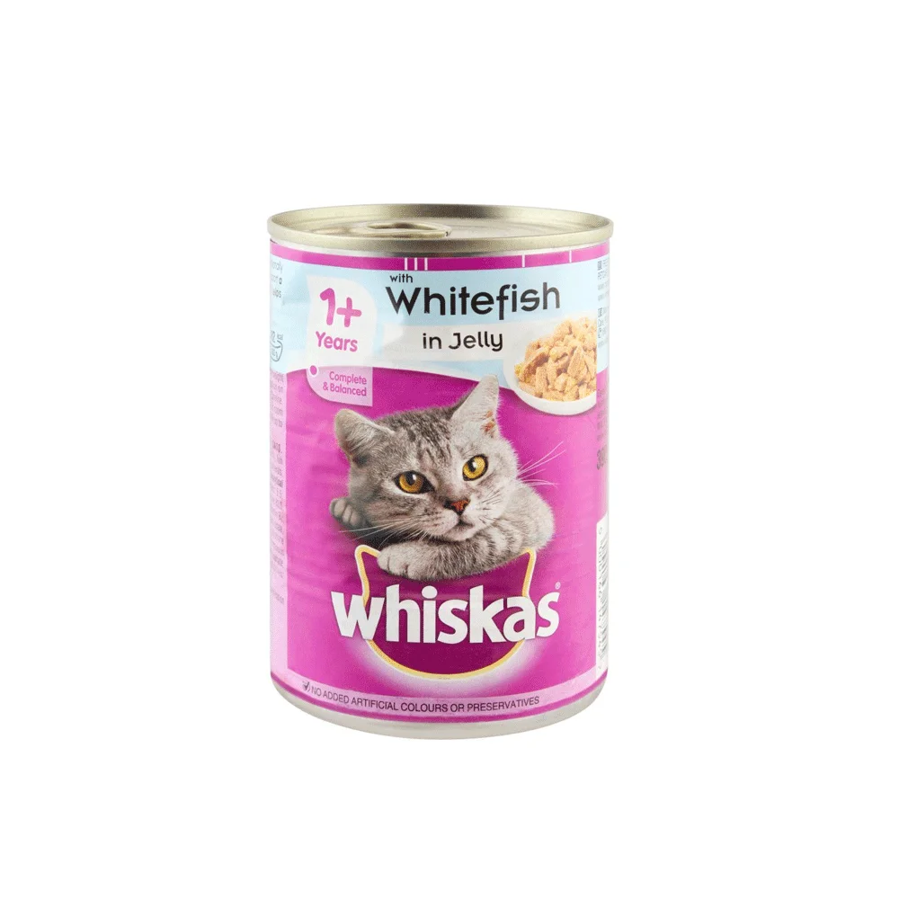 طعام قطط رطب Whiskas جيلي بالدجاج 390 غرام - Image 2