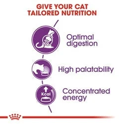 Royal Canin Sensible 33 Adult Cat Dry Food 400g - Thumbnail 3