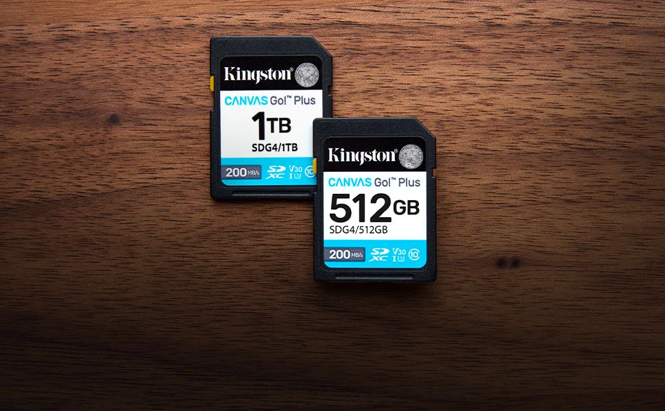 بطاقة ذاكرة SD Kingston Canvas Go! Plus سعة 256GB بسرعة تصل إلى 200MB/s Class 10 UHS-I U3 V30 - Image 5