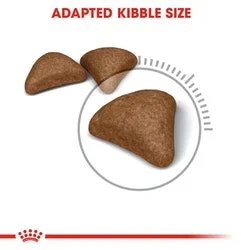 طعام قطط بالغ Royal Canin Hairball Care للعناية بكرات الشعر 400 غ - Thumbnail 3